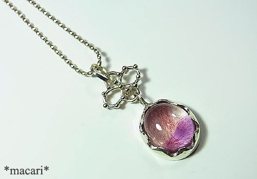 �o�C�J���[�@�C���N���[�W�����N�H�[�c�@�y���_���g