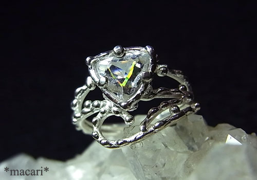 �V�R���C���{�[�N�H�[�c�@�����O