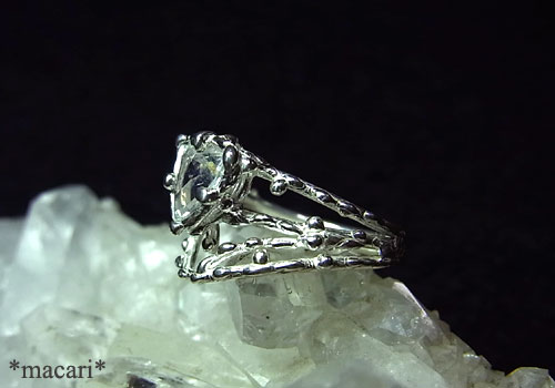 �V�R���C���{�[�N�H�[�c�@