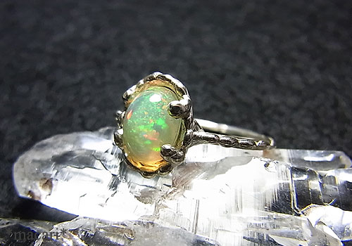 �G�`�I�s�A�I�p�[���̃����O