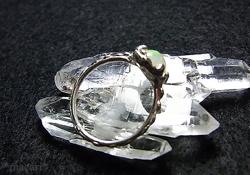 �G�`�I�s�A�I�p�[���̃����O