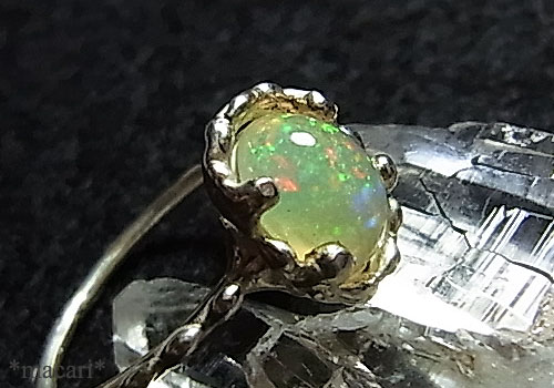 �G�`�I�s�A�I�p�[���̃����O