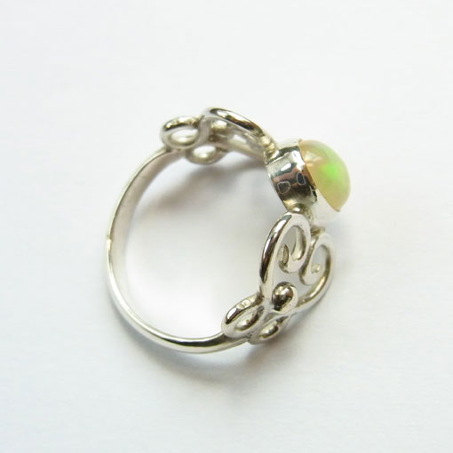 �G�`�I�s�A�I�p�[���̃����O