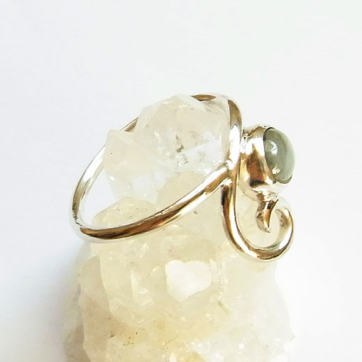 �X�^�[�T�t�@�C�A�@�V���o�[�����O