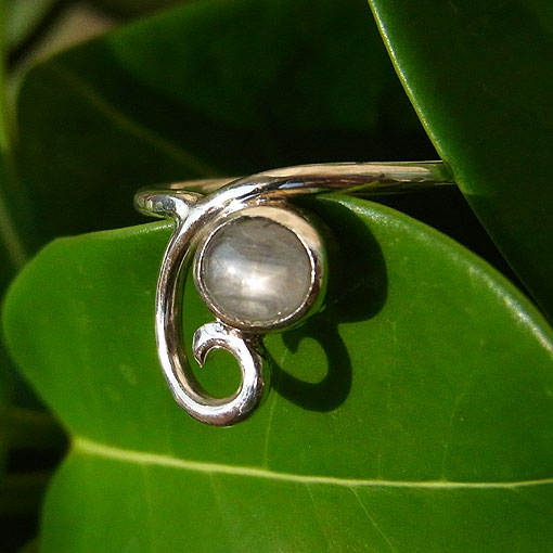 �X�^�[�T�t�@�C�A�@�V���o�[�����O