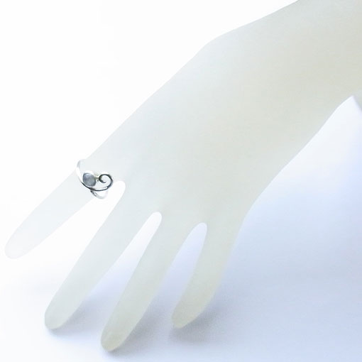 �X�^�[�T�t�@�C�A�@�V���o�[�����O