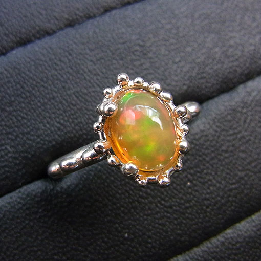 �G�`�I�s�A�I�p�[���@�����O